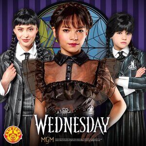 🕸️ Wednesday Addams Costume Wig NWT 🕸️